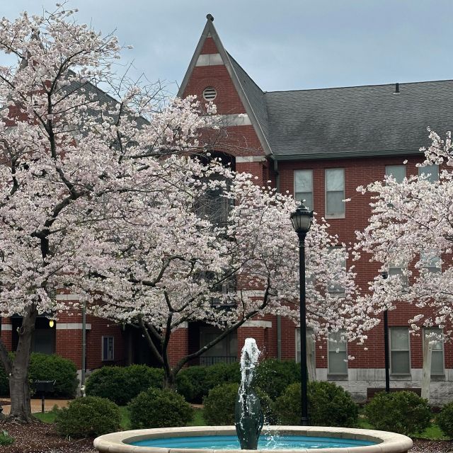 with finals coming up let’s see what people still need to prepare for!! 📚📝 what exam are you most unprepared for? 
luckily, living at verve we have great study area options!
• 2nd floor conference rooms
• floor to ceiling windows with bar seating and built in outlets
•cozy booths—perfect for locking in
• & great desks in each bed space
#verve #slu #washu #saintlouisuniversity #saintlouis #stl #stlapartments #apartmentliving #work #study #midtown