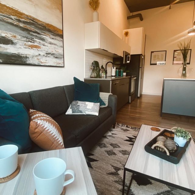 🛋️ Comes back home like home is more than just four walls✨
.
.
.
#vervestl #comfylifestyle #saintlouisuniversity #petfriendly #washu #washingtonuniversityinstlouis #cozyandcomfy