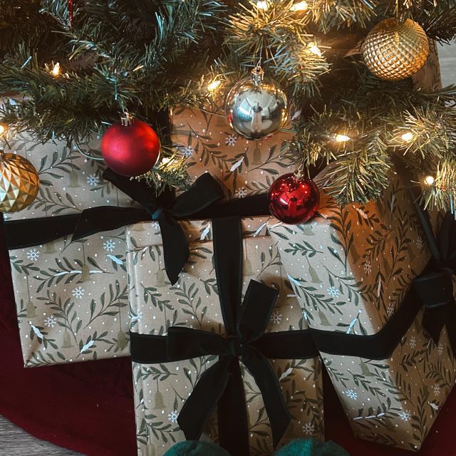 There is nothing like the holidays at VERVE 🎄🎁❄️ #VERVESTL #HolidaySeason #HolidaysAtVERVE #DecemberVibes #StudentLiving #StLouisLiving #SLU #HollyJolly #LiveAtVERVE